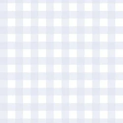 Spring Gingham in Nimbus Blue