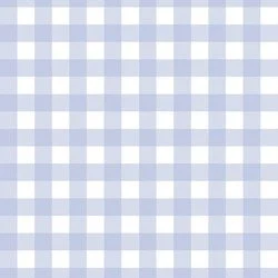 Spring Gingham in Gulf Blue