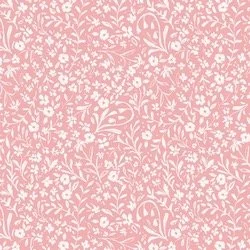 Image 14.jpeg
