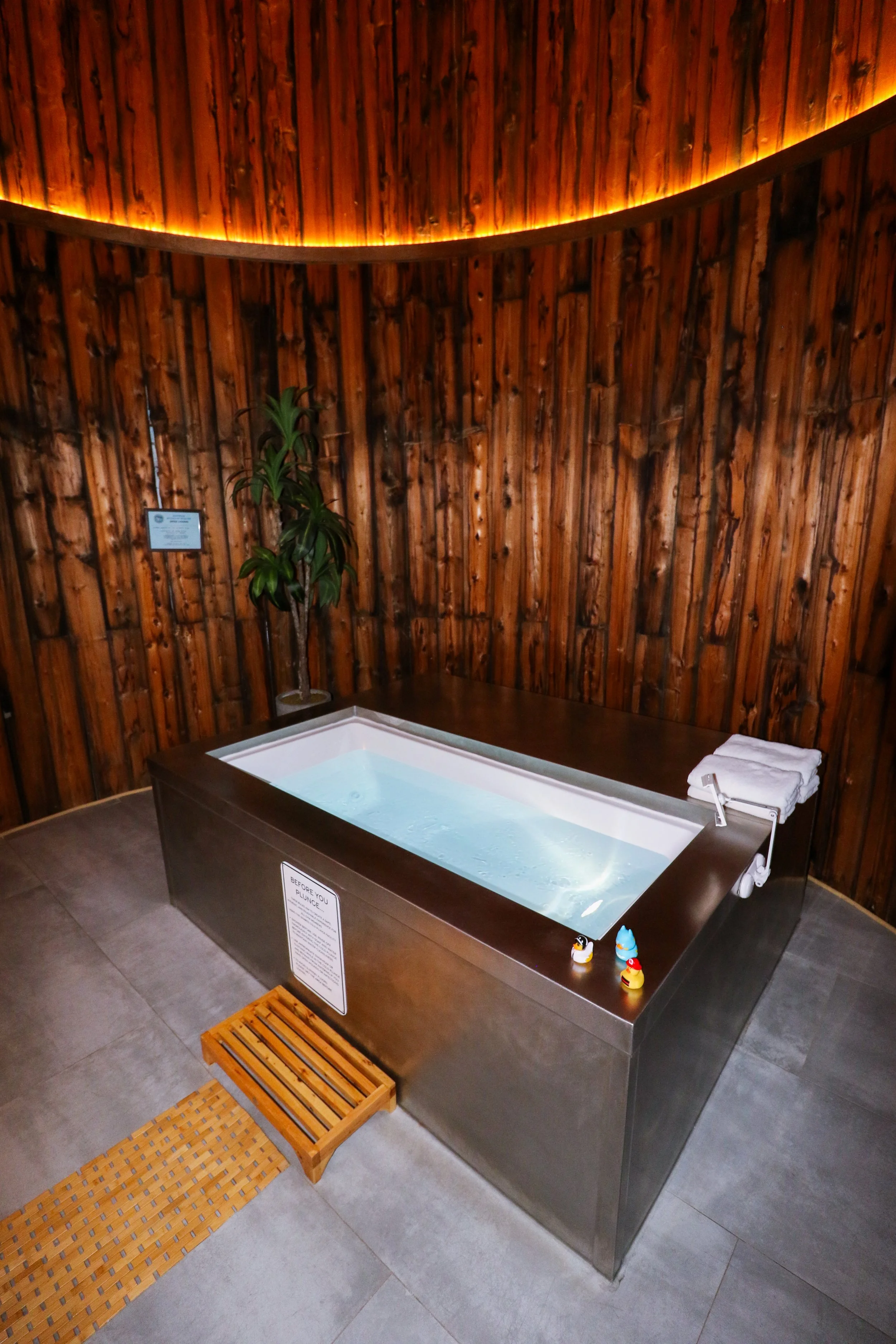 Cold Plunge at The Infinity Club, Mahwah