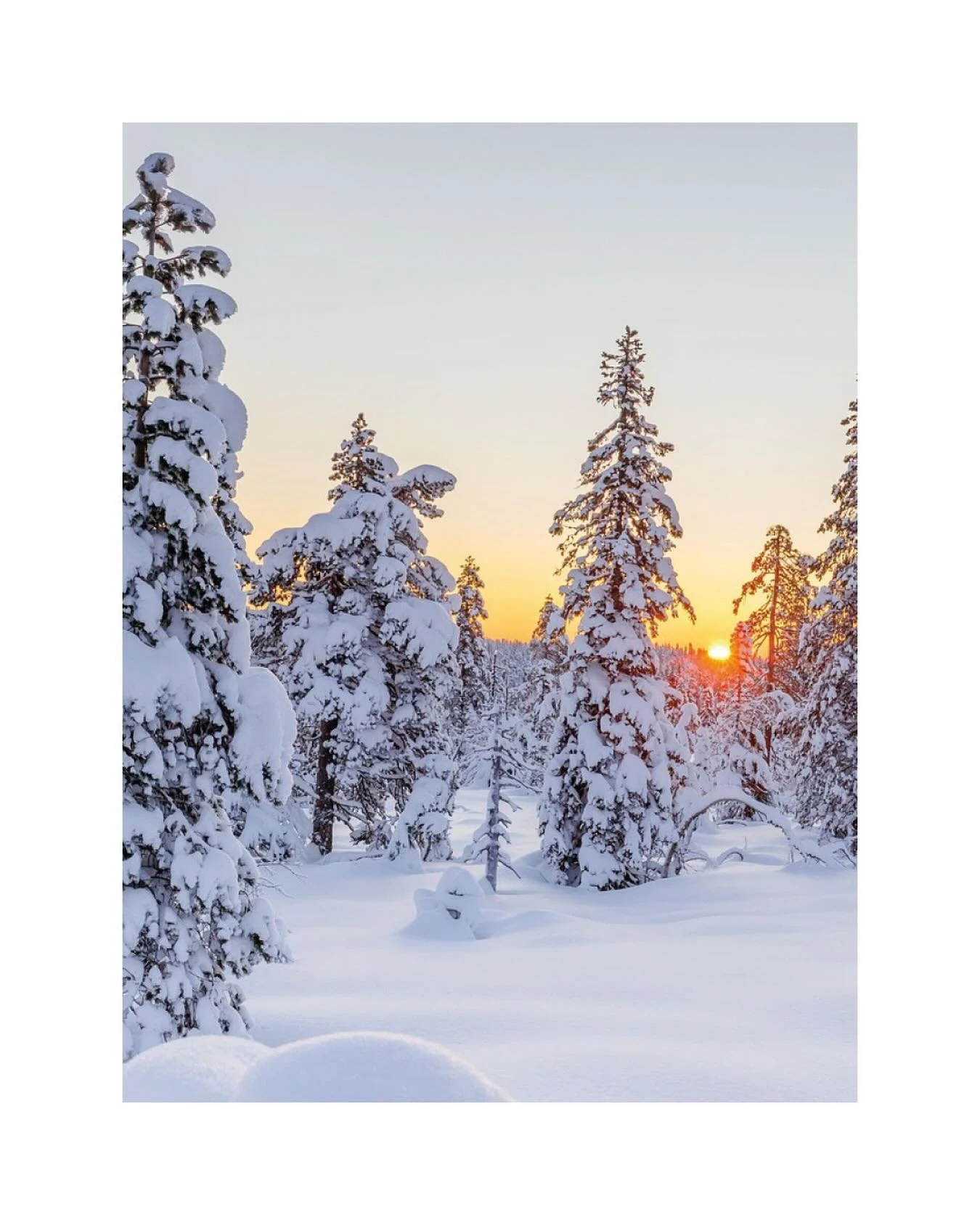 Imorgon 12/12 h&aring;ller vi st&auml;ngt i butiken ❄️
Passar p&aring; att &ouml;nska er en fin dag och trevlig helg!