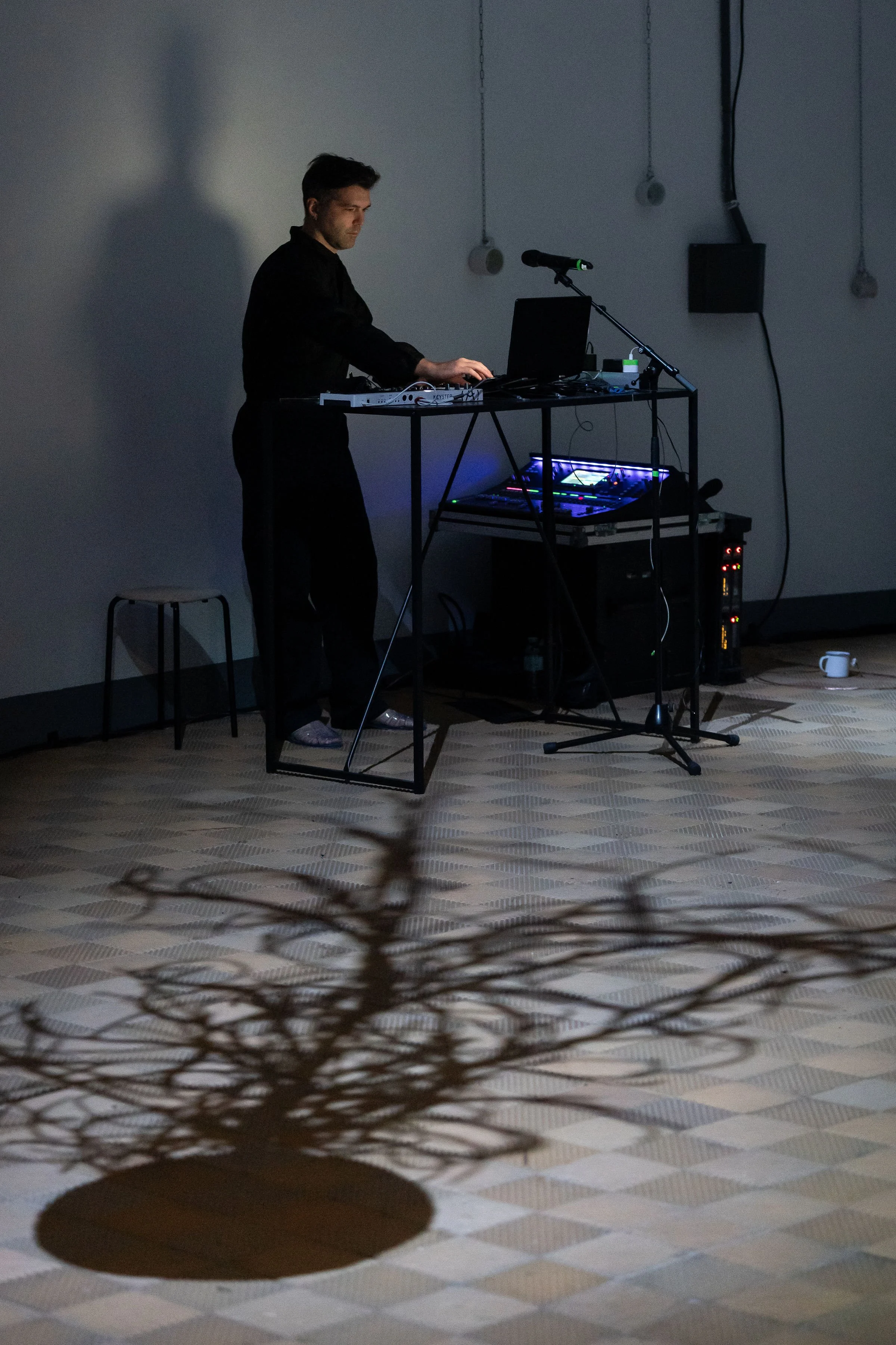05_spitzwegerich_mttw26_032(c)MichaelGizicki.jpg