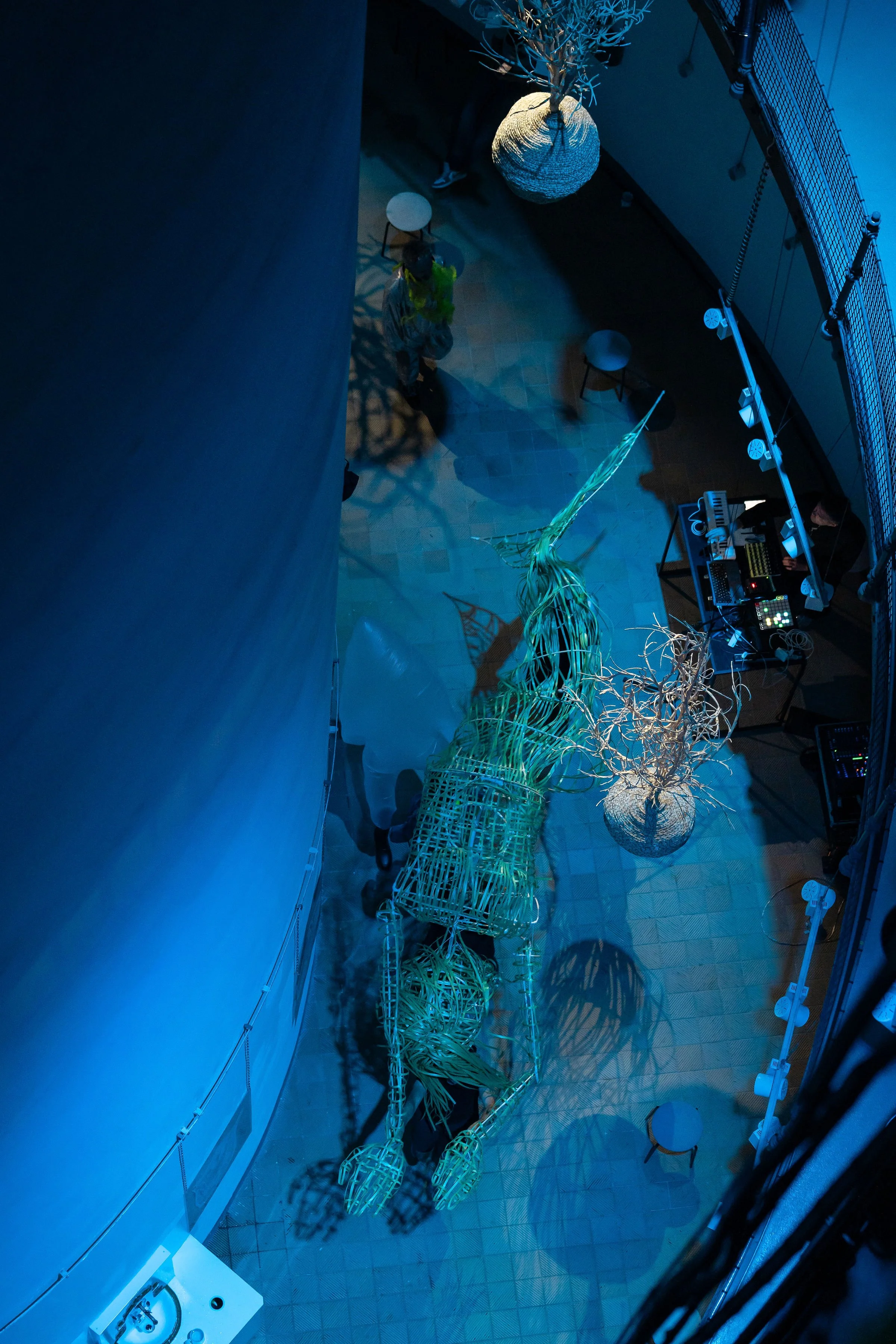 06_spitzwegerich_mttw26_004(c)MichaelGizicki-2.jpg