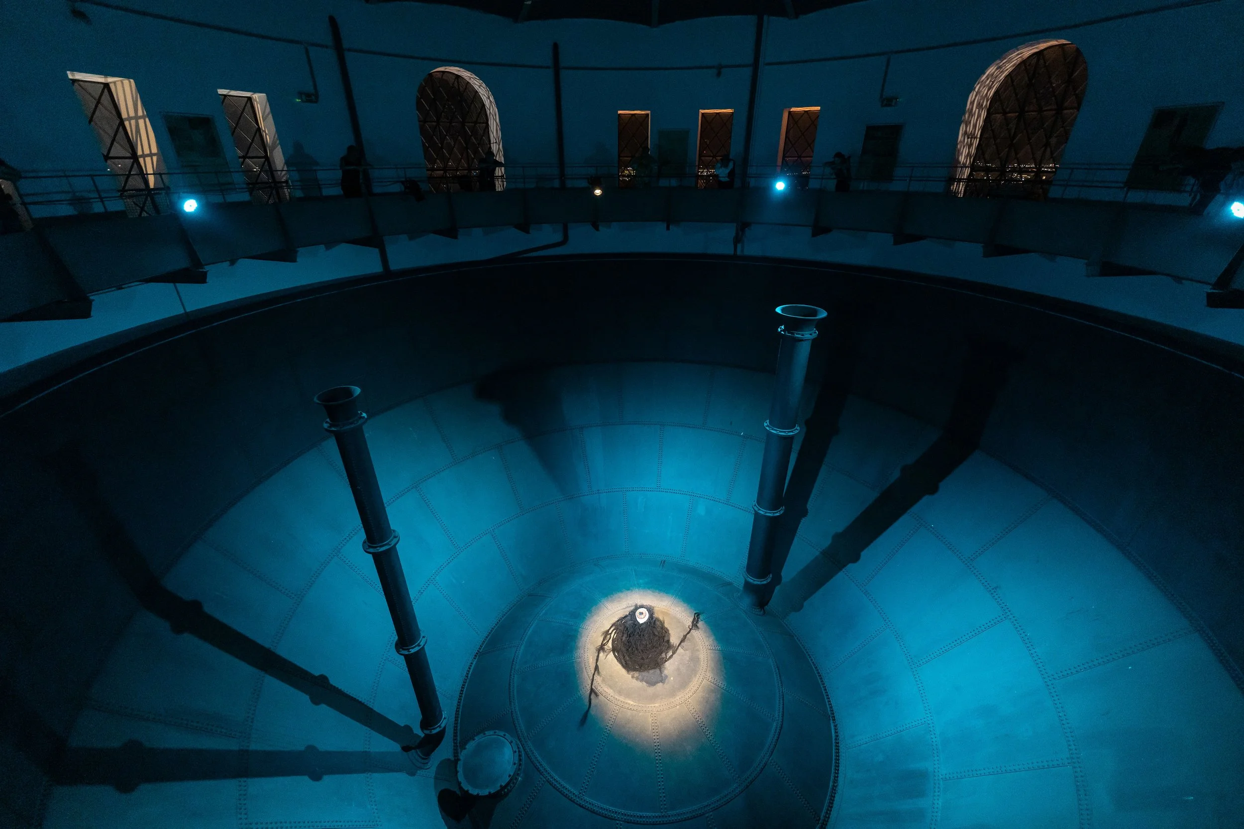 01_spitzwegerich_mttw26_001(c)MichaelGizicki-2.jpg