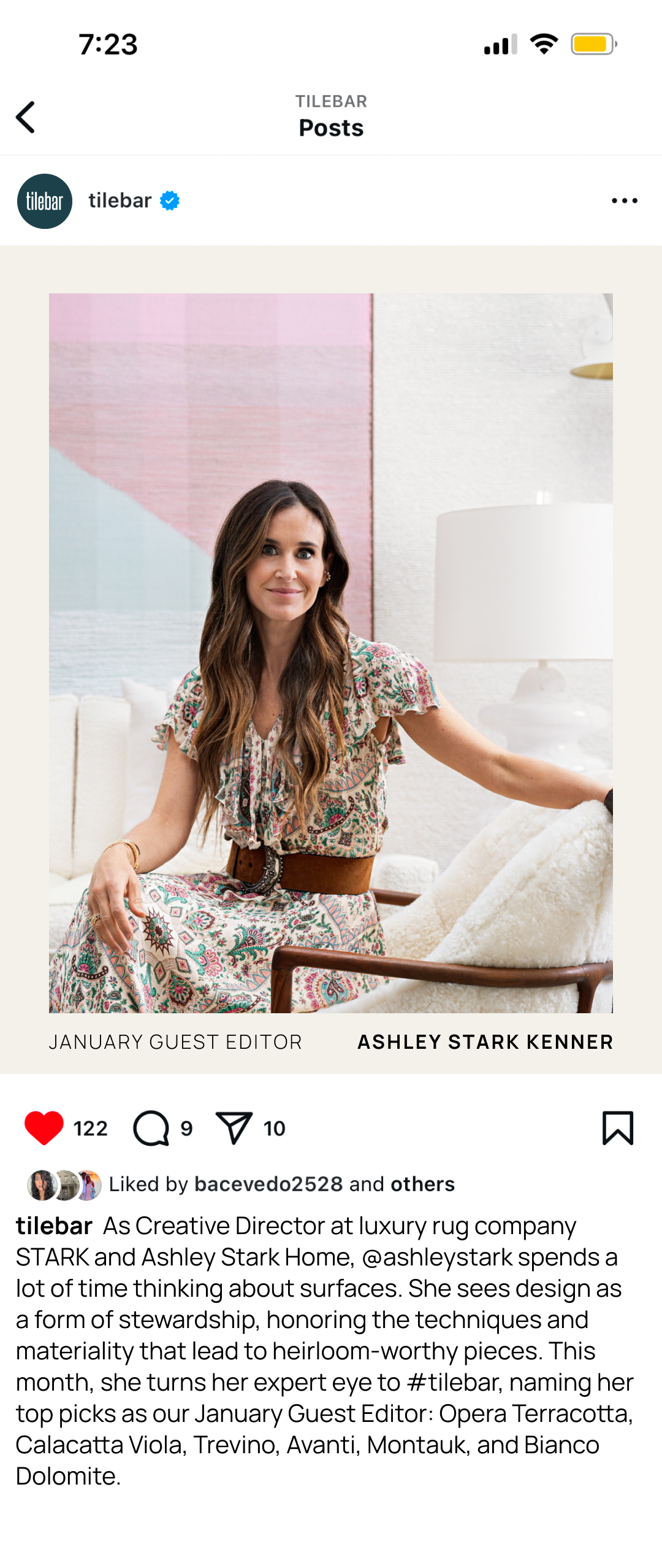 Social_Ashley Stark.png