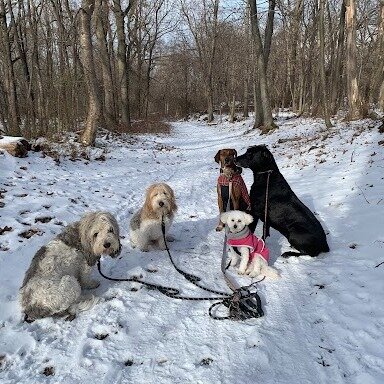 All this rain makes us miss the snow!