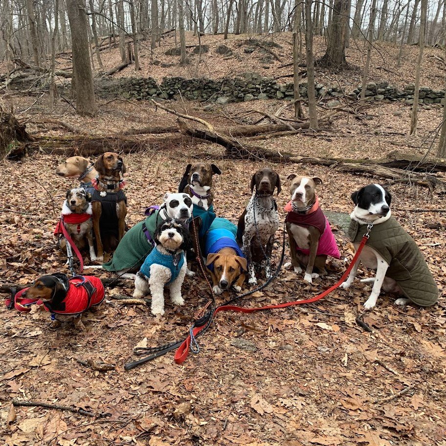 Can you tell they had a good time in the woods? Posing with pals and then watching the wildlife!