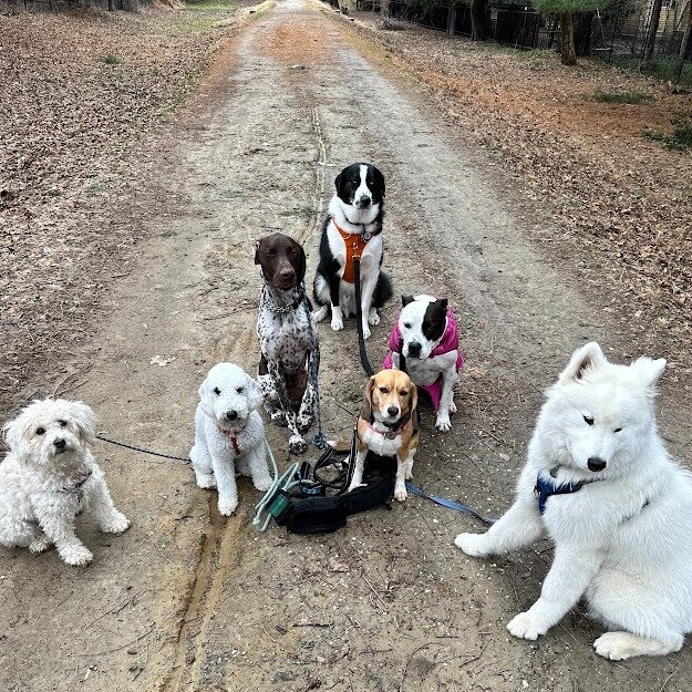 Hitting the trails with our best friends!