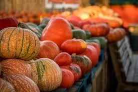 September Update: County Newsletter