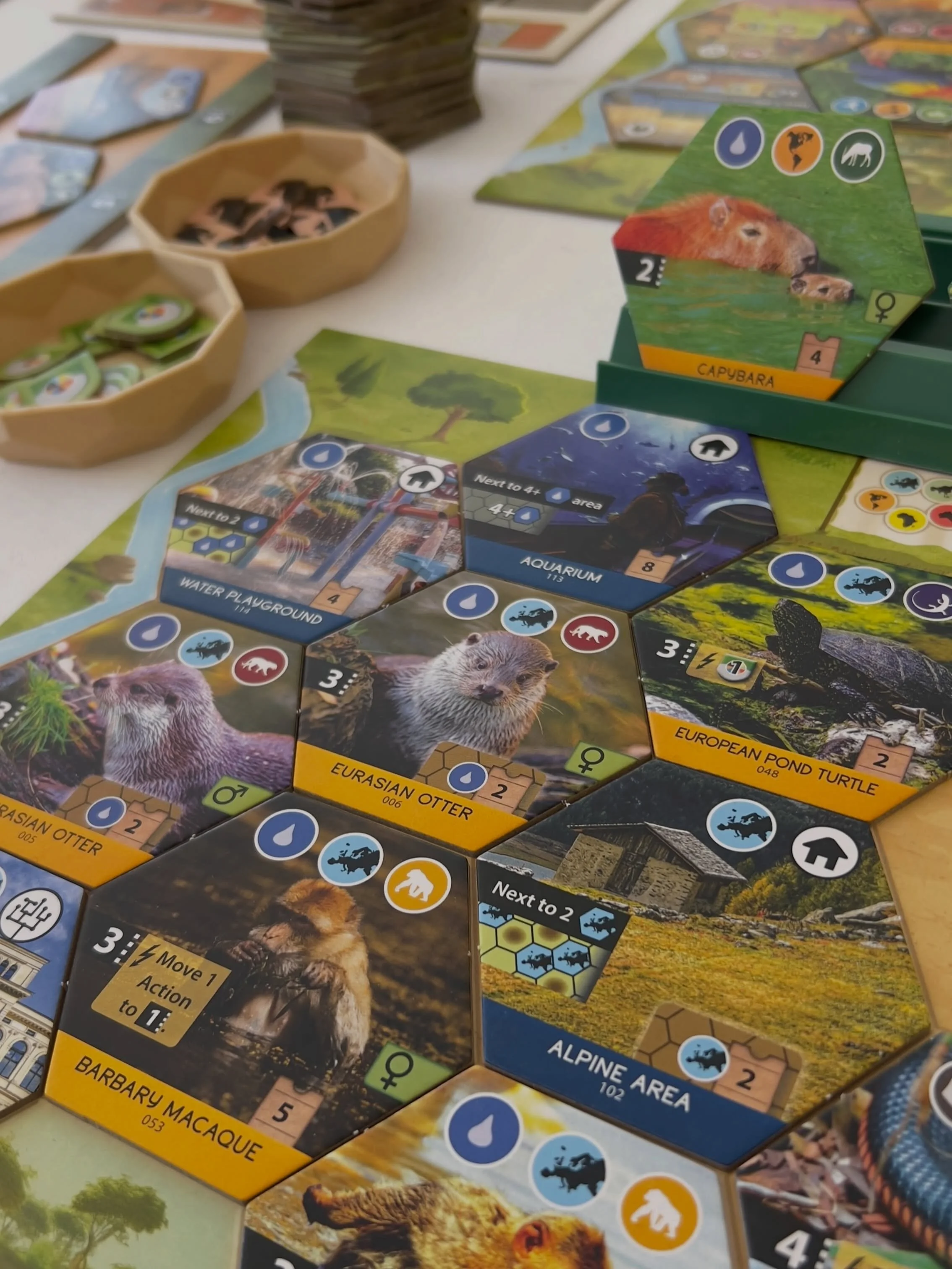 🇵🇹⬇️//🇬🇧 CONVENTION Day 3 at RiaCon, the last day of the convention. It is always bittersweet to think about the last day, because it is a sign everyone is going home instead of staying for another full day of board games&hellip; 🥺
.
We managed 