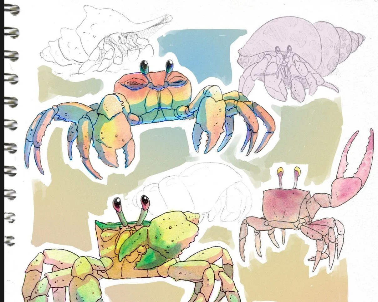 crabs.JPG