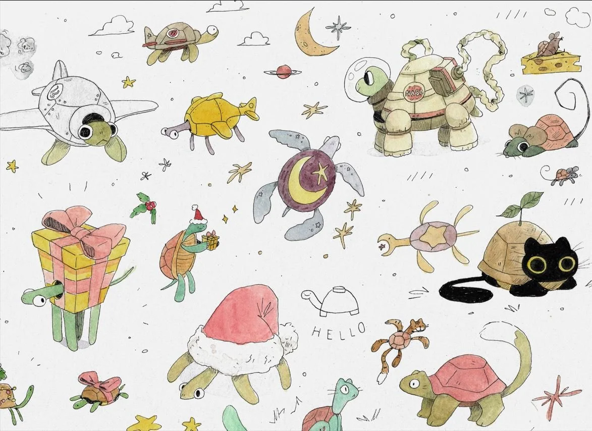 Captura tortugas.JPG