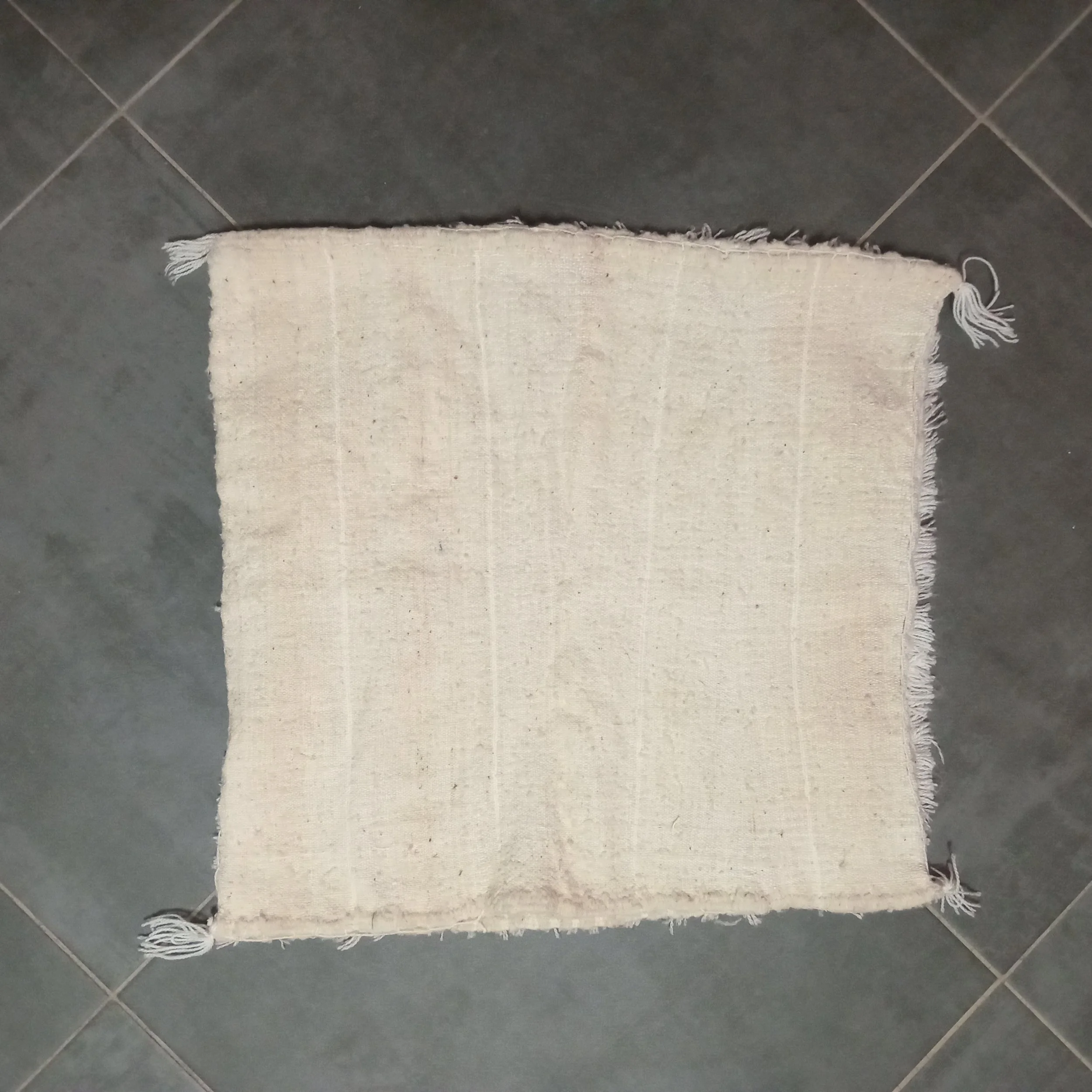 Pillows b5 007-g.jpg