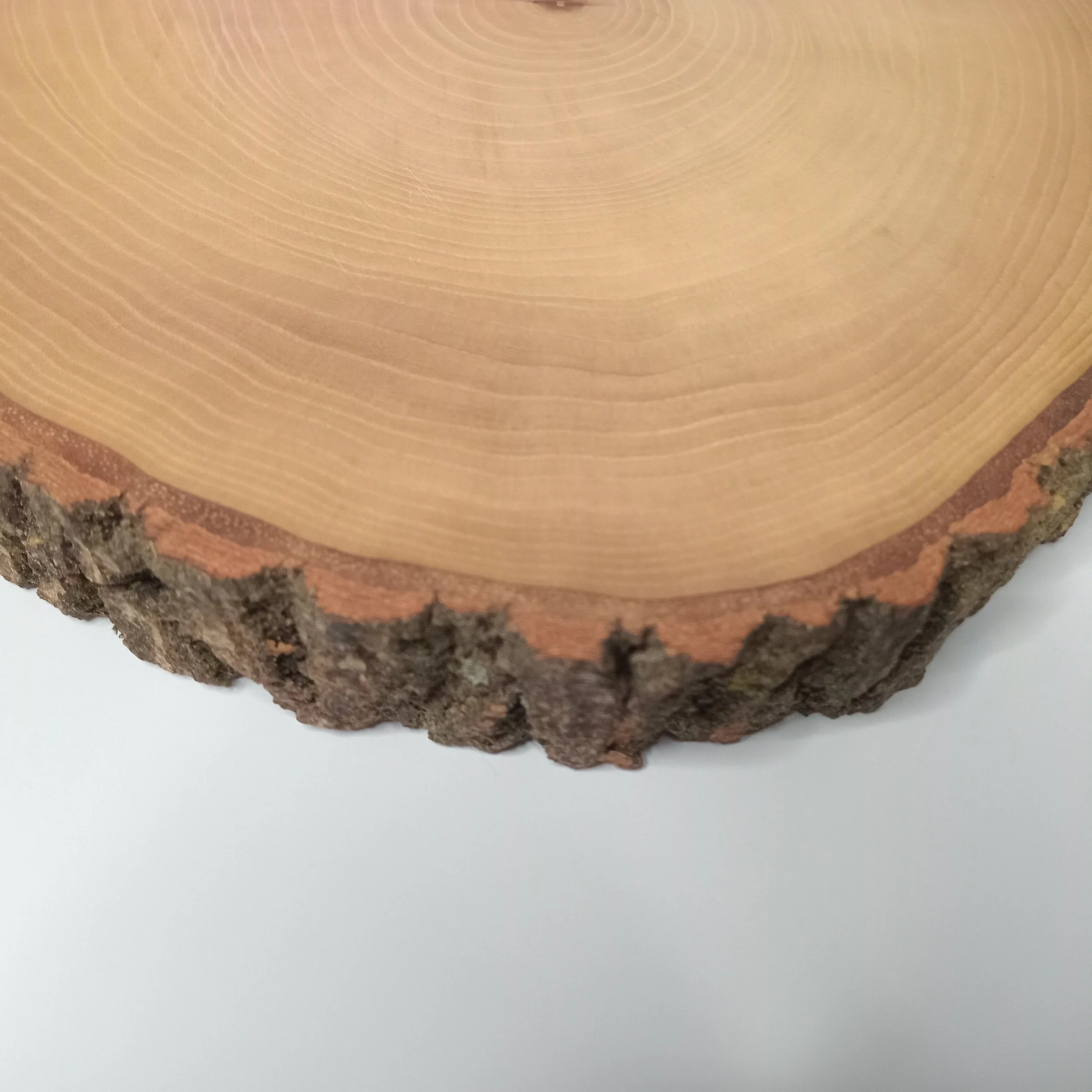 serving tray B4 003-b.jpg