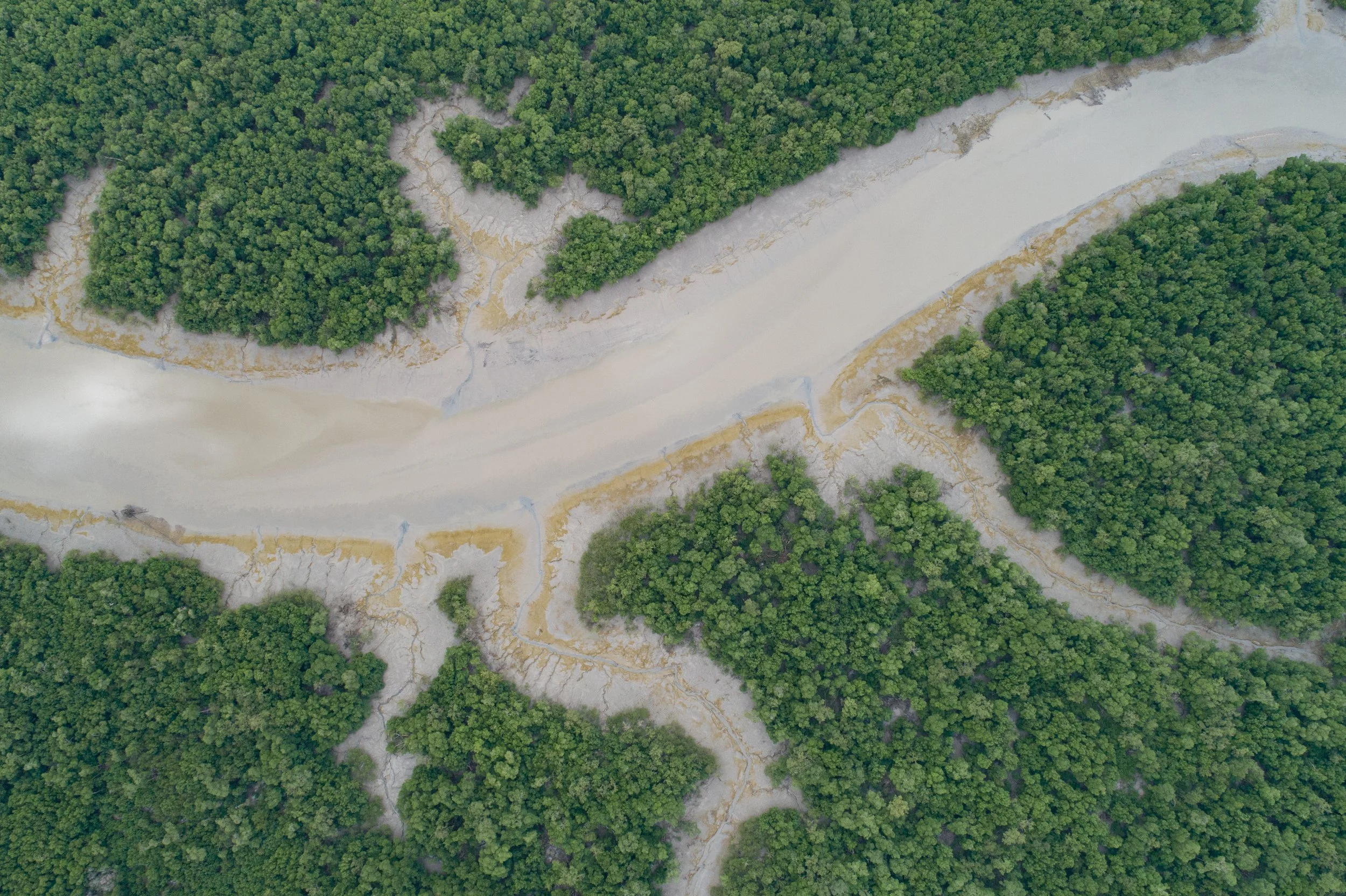 DJI_0238.jpg