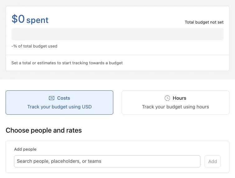 Asana budget view inside project