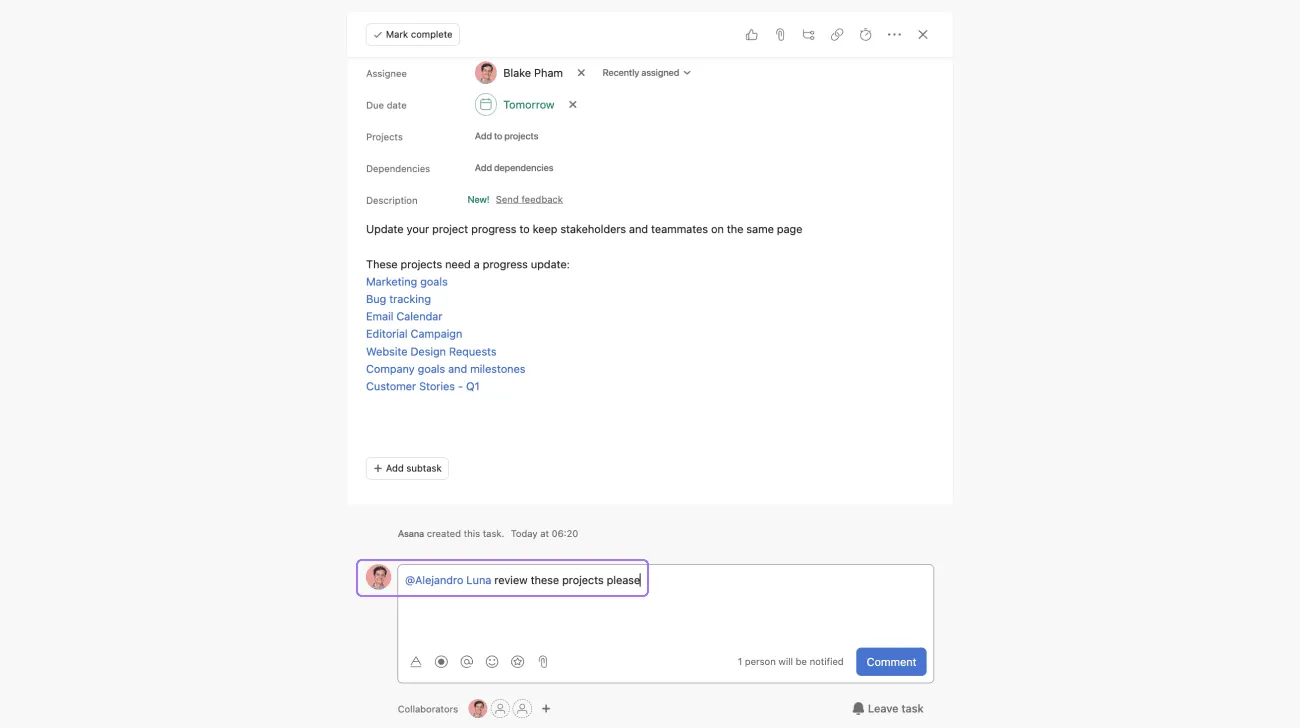 Asana Collaborations