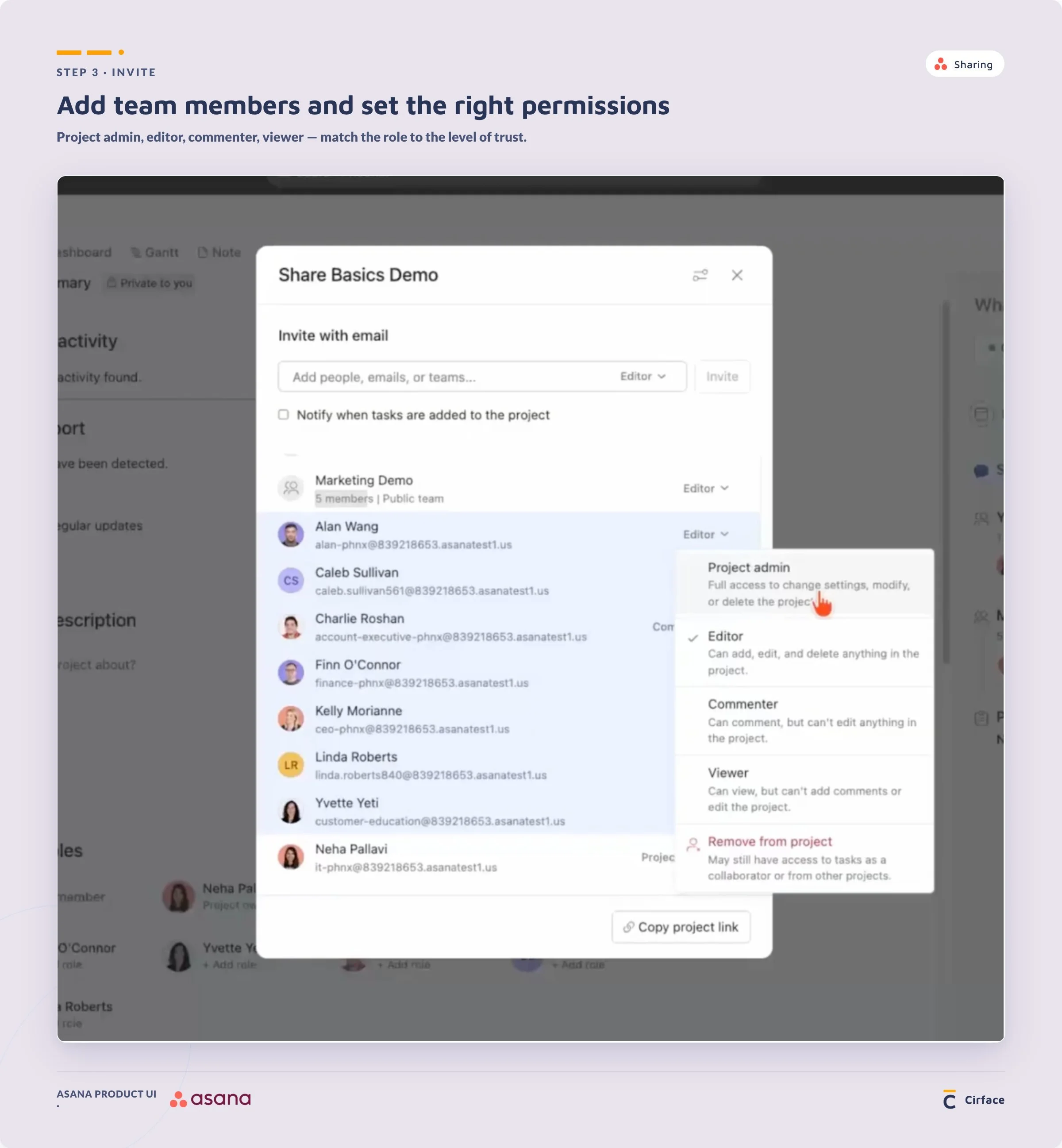 Team permission settings in Asana project