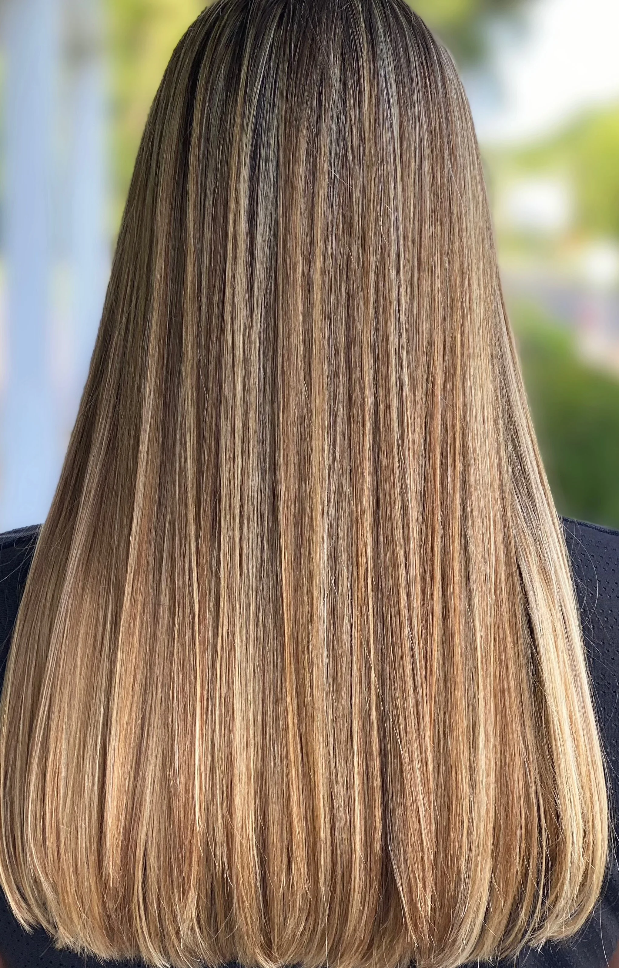 Back view of straight, long brown hair