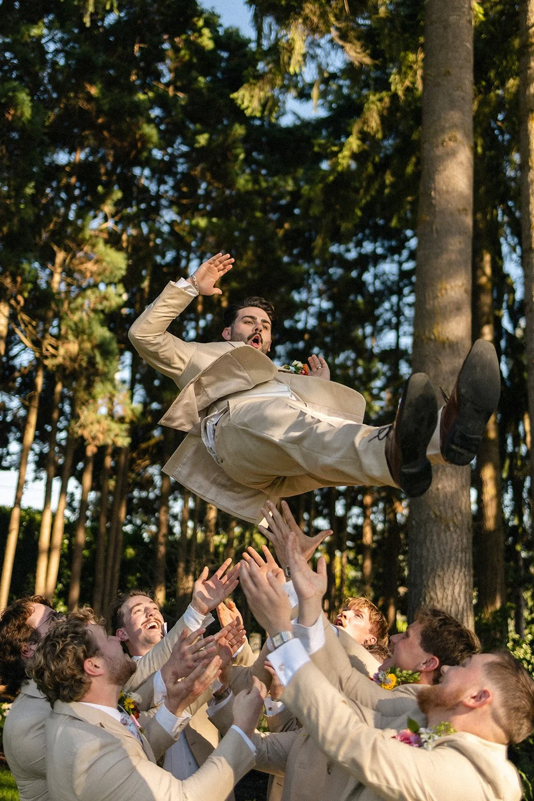 A groom in a beige suit and white shirt is being tossed into the air by a group of men at an outdoor wedding in a forested area. The men are all dressed in beige suits, smiling and cheering, with some wearing flowers on their lapels. The scene is bri