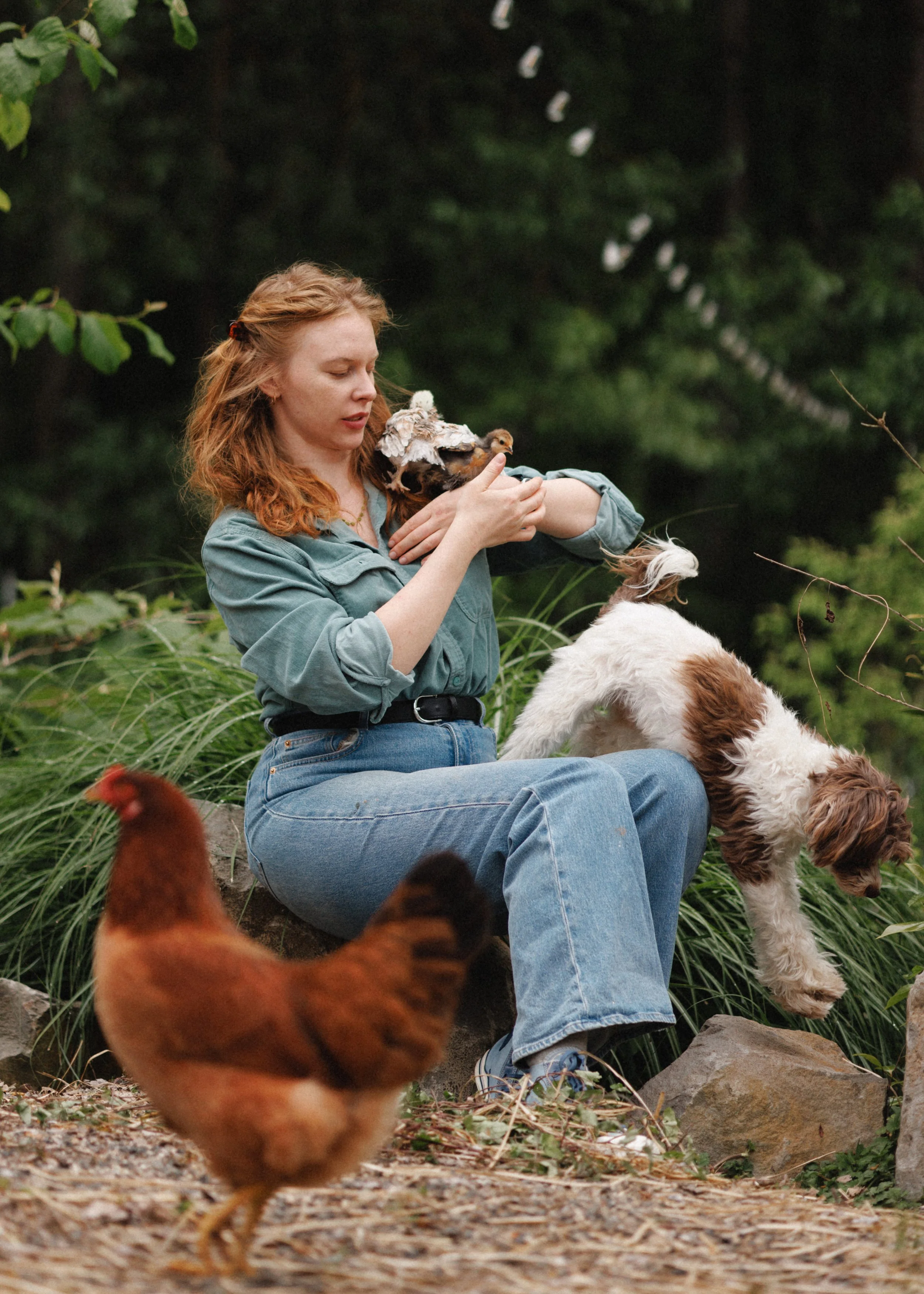 A woman with red hair in a denim shirt holding a small chicken on her arm, surrounded by chickens and a dog outdoors.