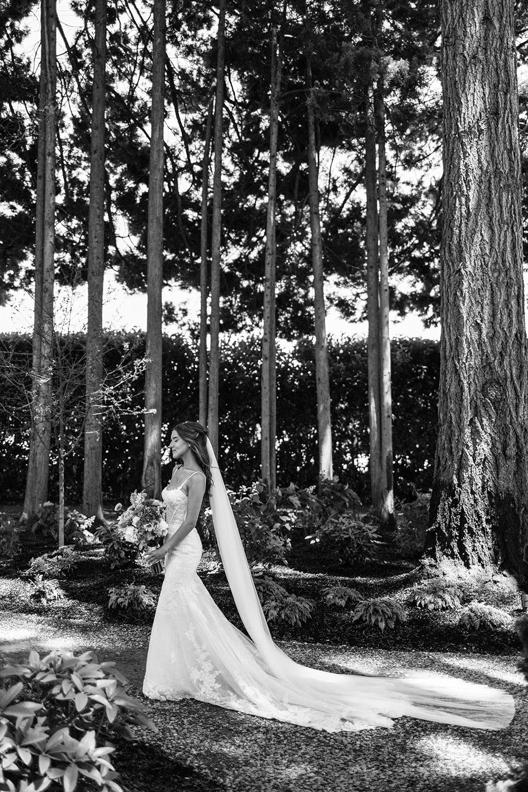 A bride in a wedding dress holding a bouquet, standing outdoors among tall trees and lush foliage.