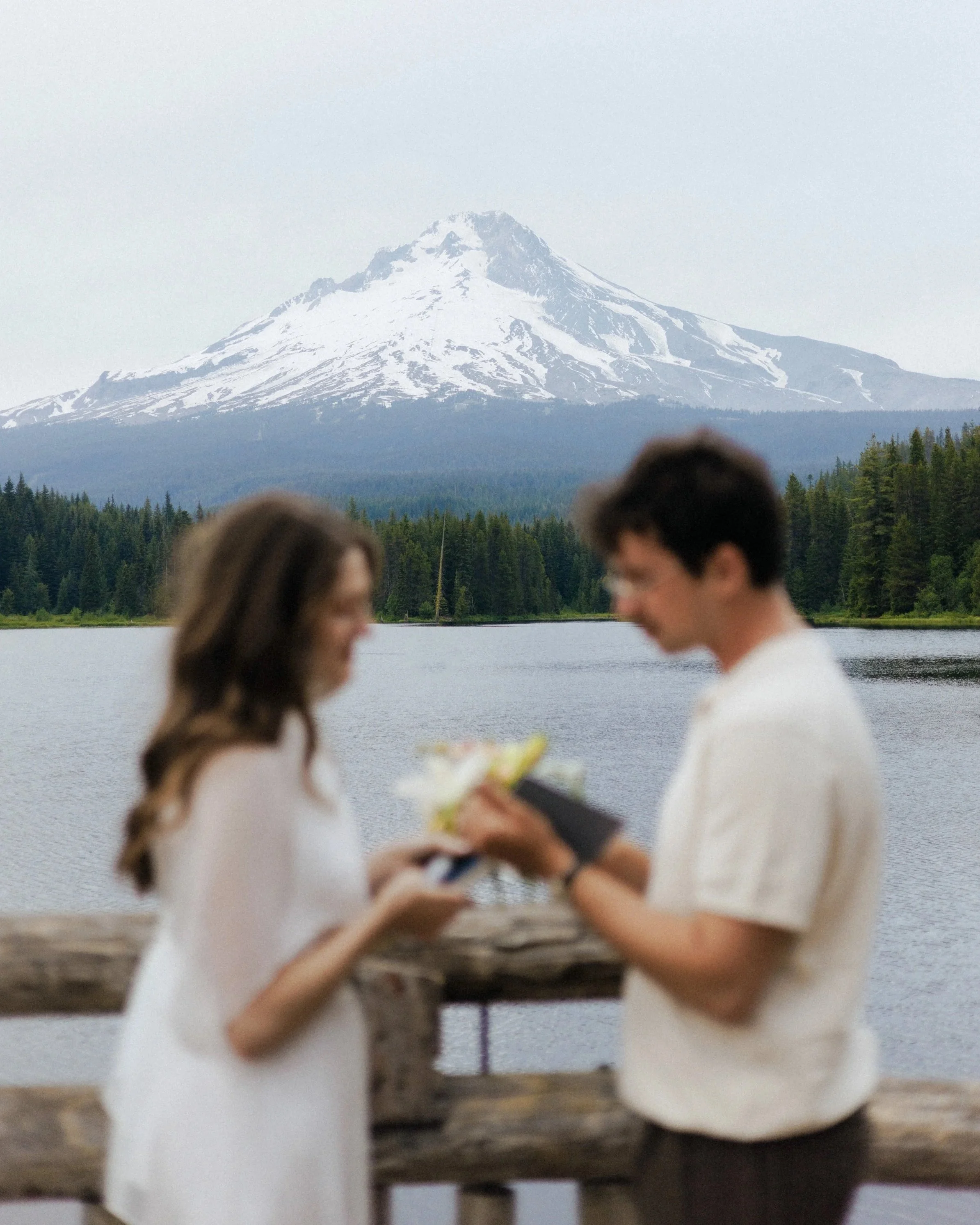 A snow-capped mountain in the background with a forested area at the base and two people in the foreground near a body of water, blurred.