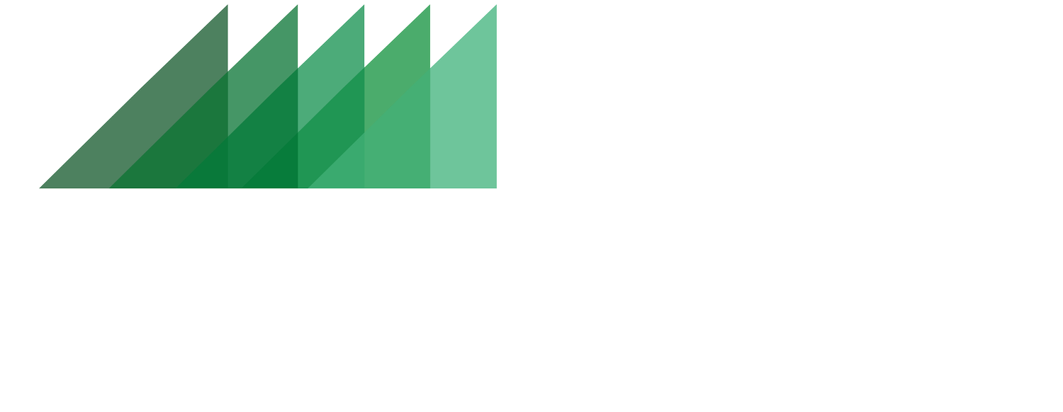 5Gens Wealth Stewardship