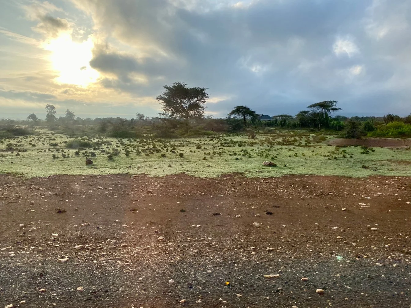 Kenia_hautnah-Masai_Mara-Landschaft-Sonne.jpg