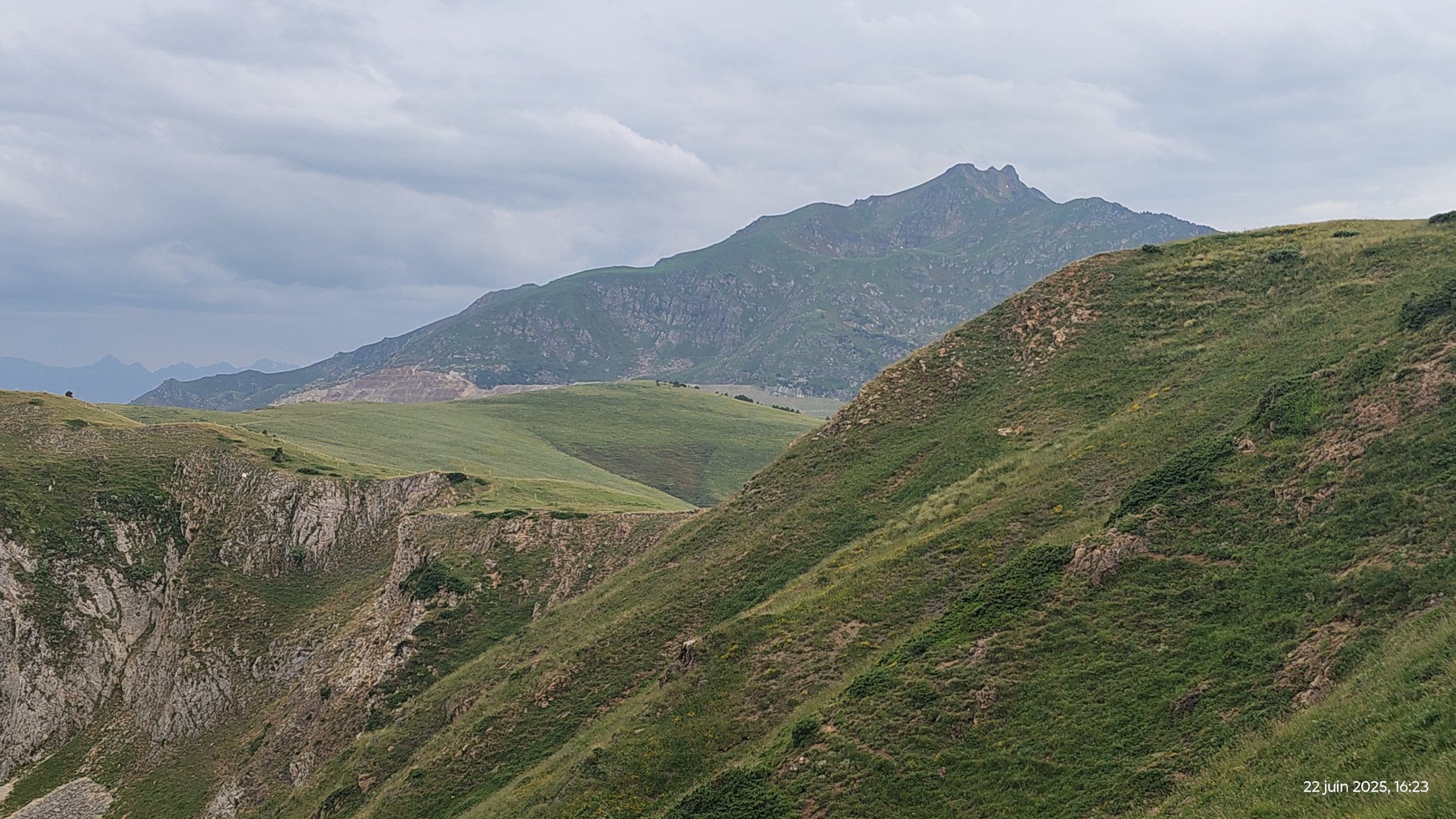 IMG_20250622_162303959_HDR.jpg