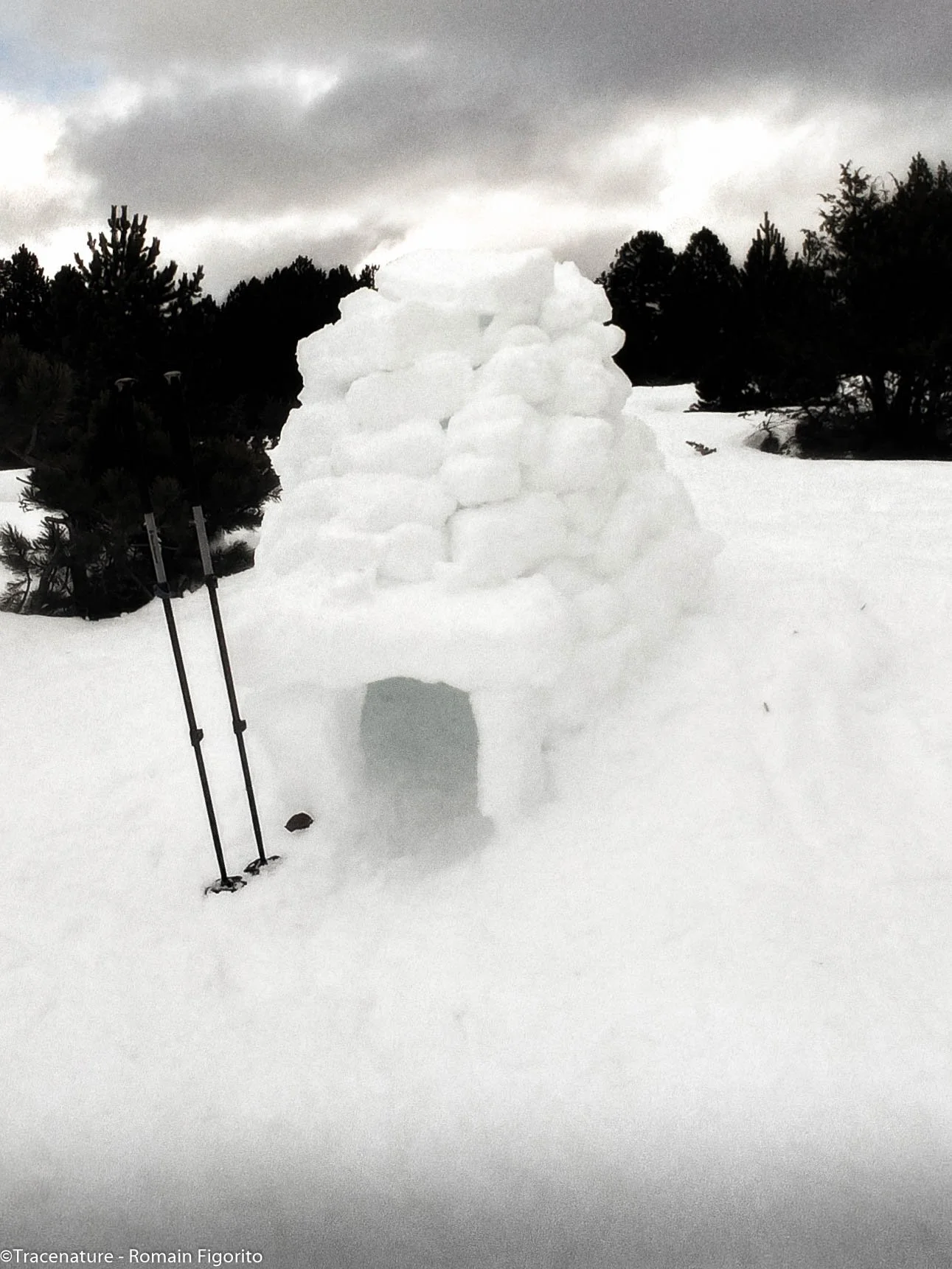 MISSION SURVIE- CONSTRUCTION IGLOO & GOUTER TRAPPEUR