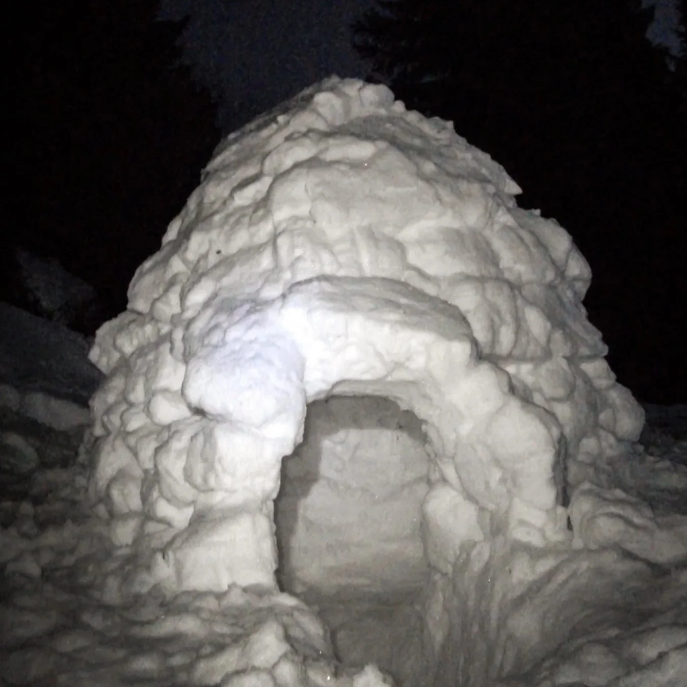 MISSION SURVIE- CONSTRUCTION IGLOO & GOUTER TRAPPEUR