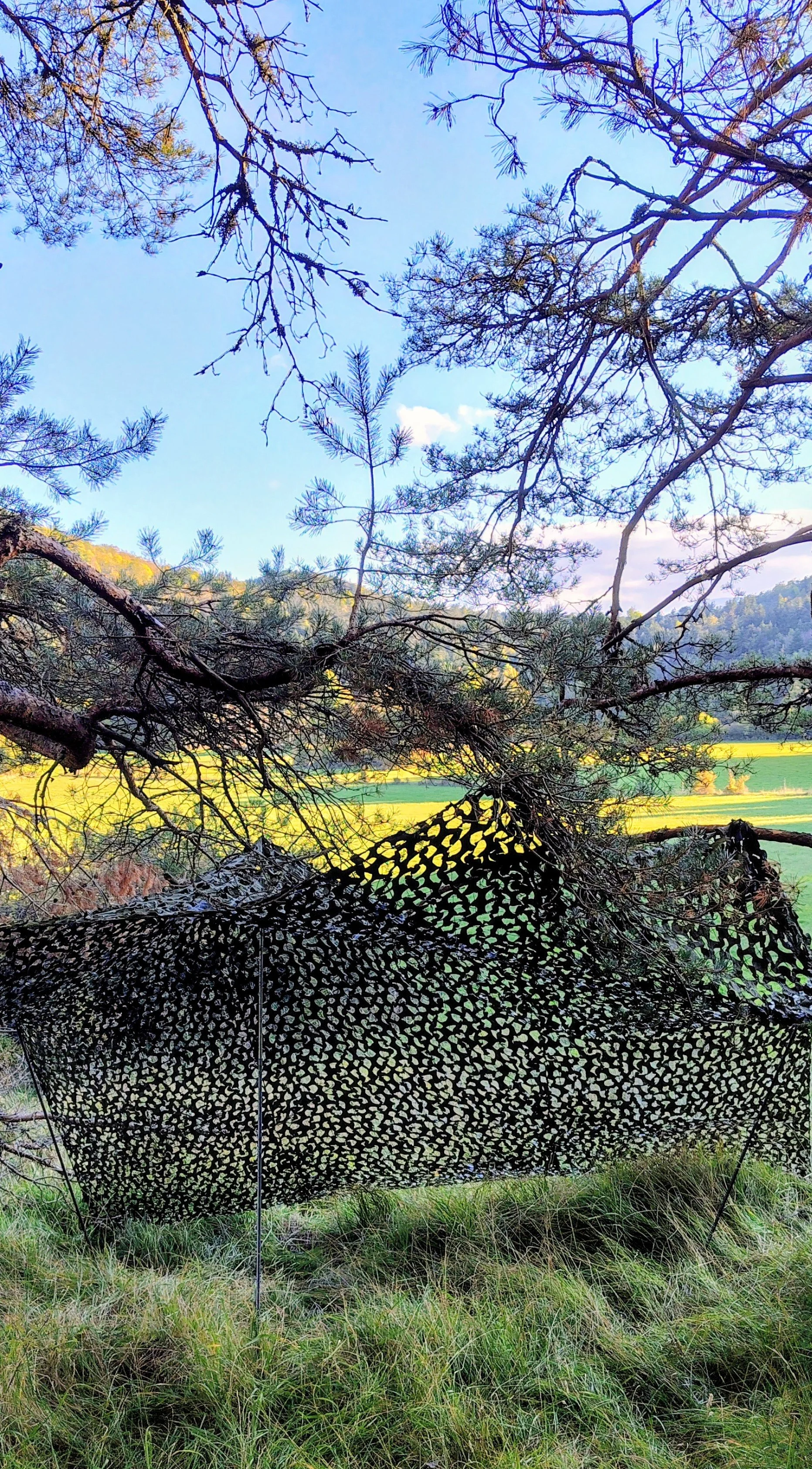IMG_20251010_180503345_HDR_AE~2.jpg