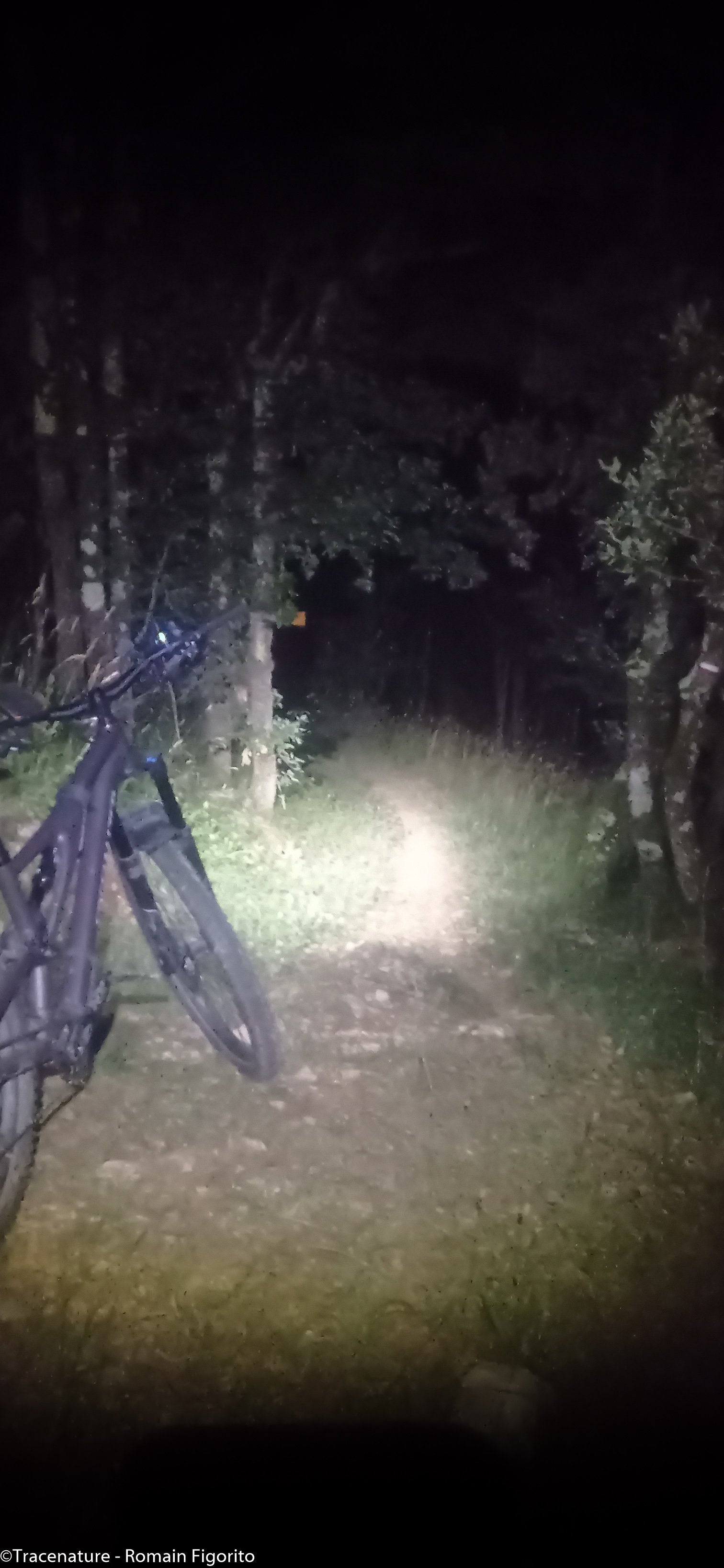 nocturne VTT@Tracenature - Romain Figorito-2.jpg