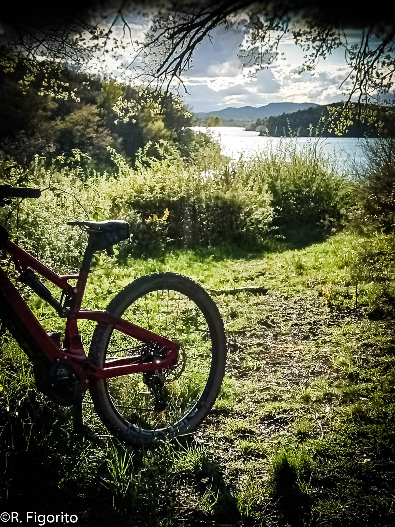 ride - reflets & golden hour montbel@Romain Figorito.jpg