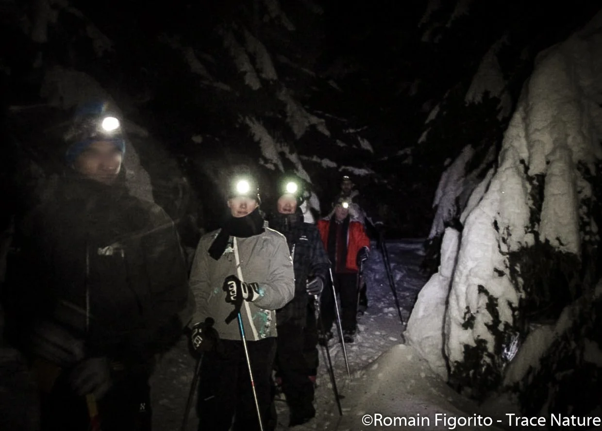 Capture d’écran 2023-12-15 133326.jpg