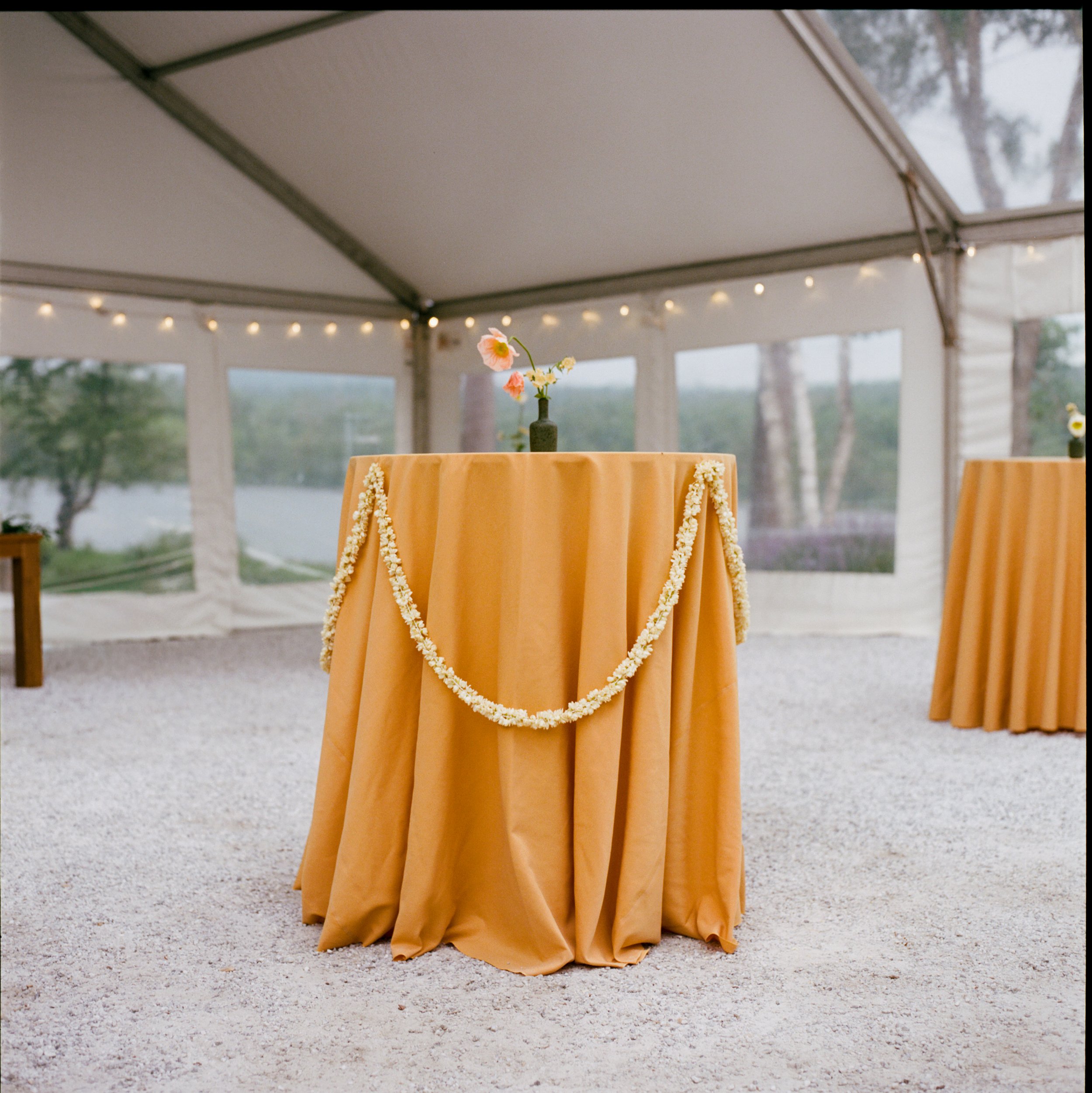 Isabella&Michael_Previews-188.jpg