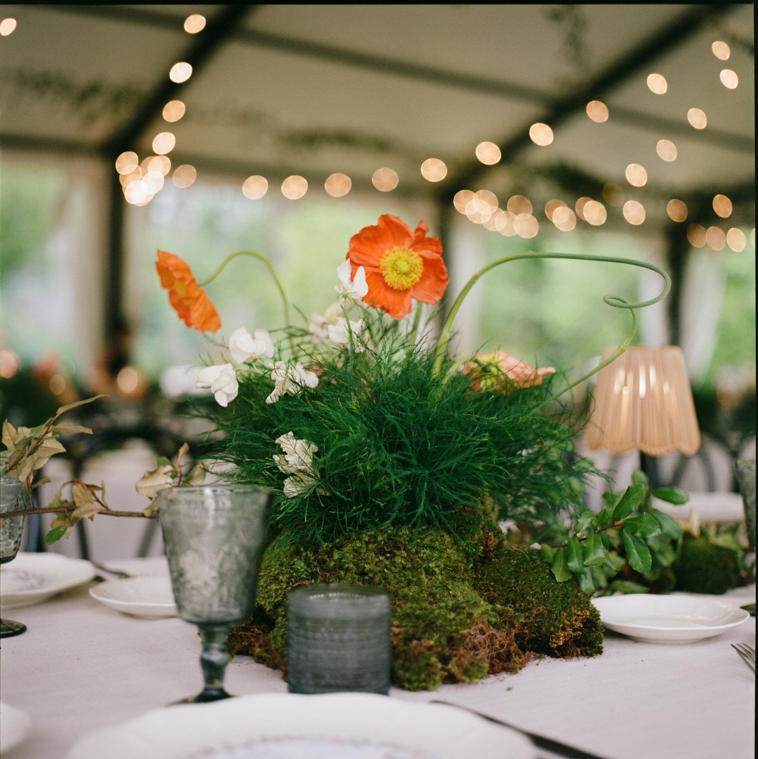 Isabella&Michael_Previews-221.jpg