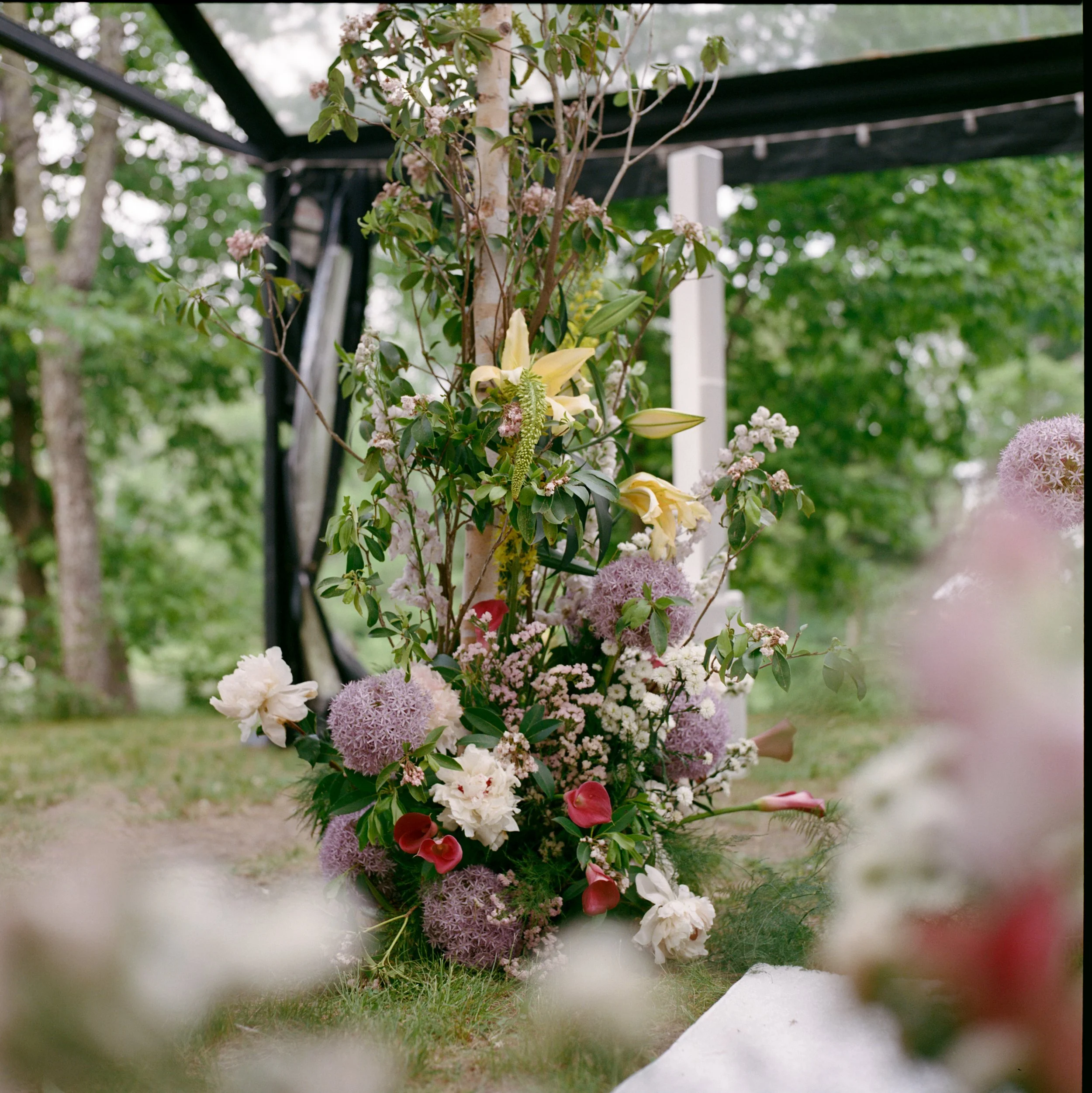 Isabella&Michael_Previews-150.jpg