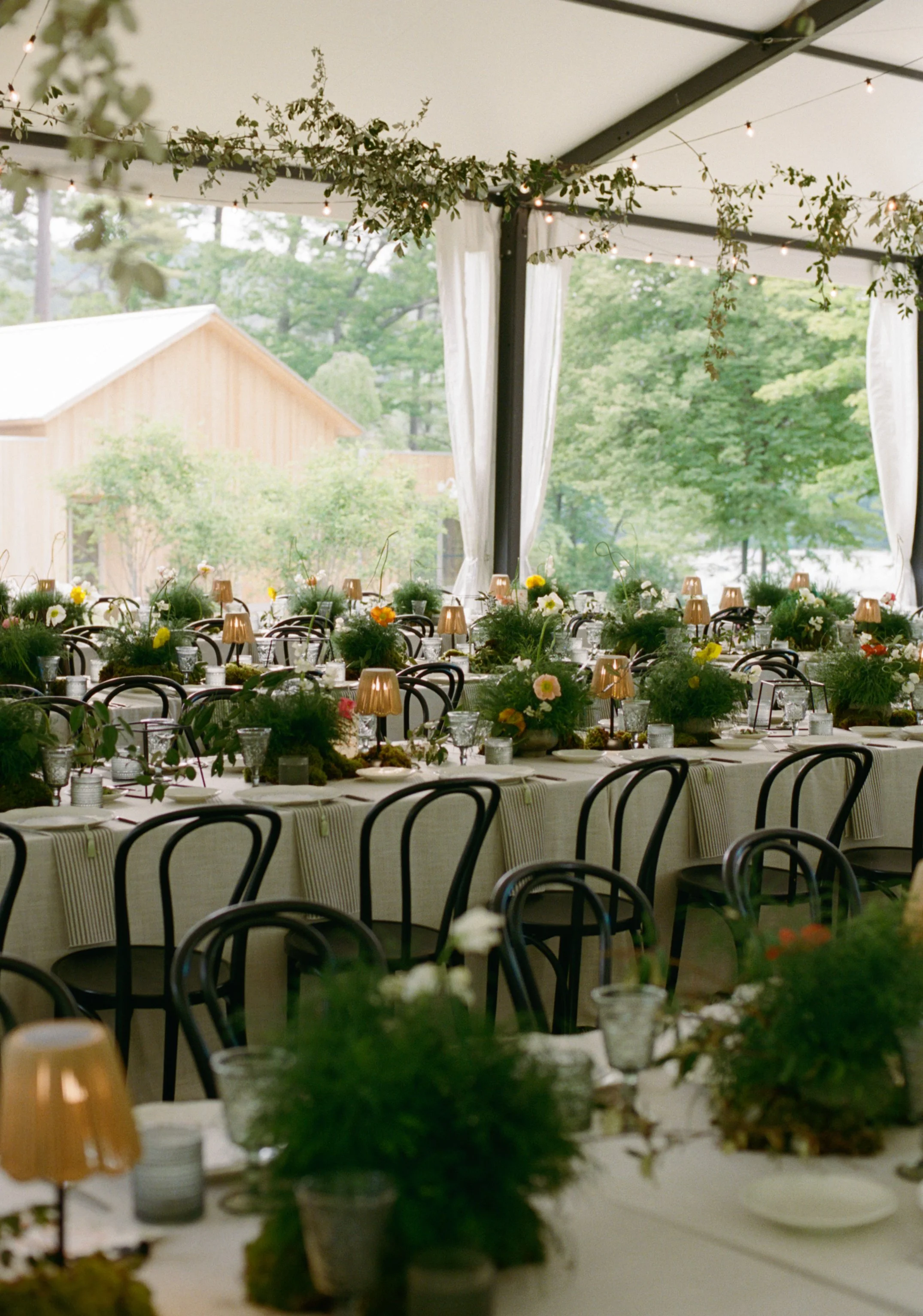 Isabella&Michael_Previews-223.jpg