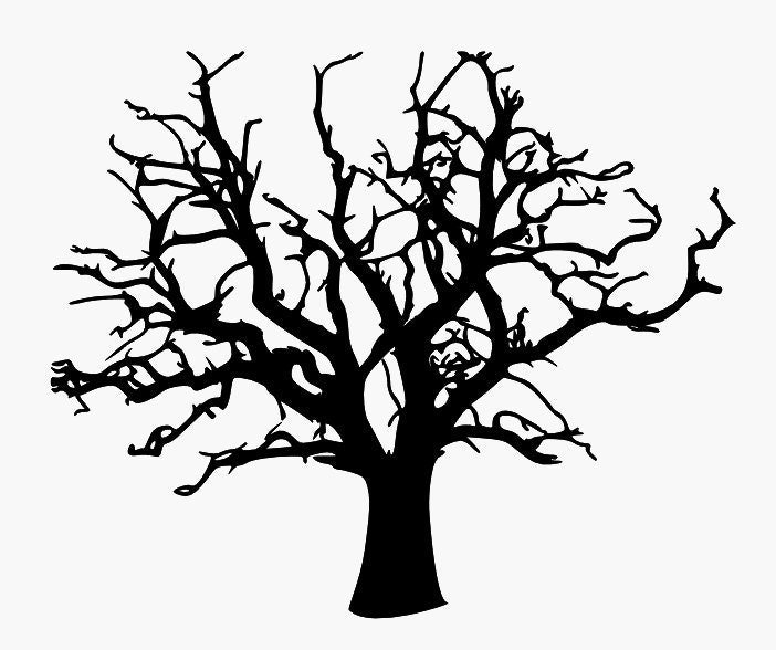 https://i.etsystatic.com/6787376/r/il/6febe6/5246508581/il_fullxfull.5246508581_qfcj.jpg