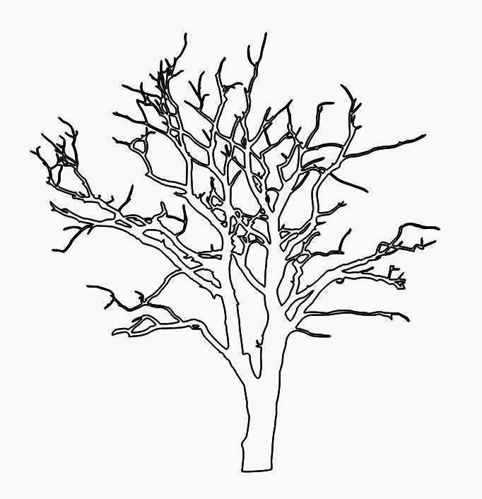 https://i.etsystatic.com/6787376/r/il/2643b5/5247013053/il_fullxfull.5247013053_s6k7.jpg