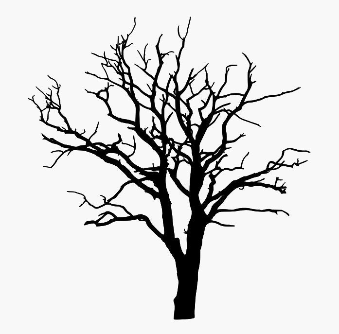 https://i.etsystatic.com/6787376/r/il/09138c/5198791732/il_fullxfull.5198791732_s9fj.jpg