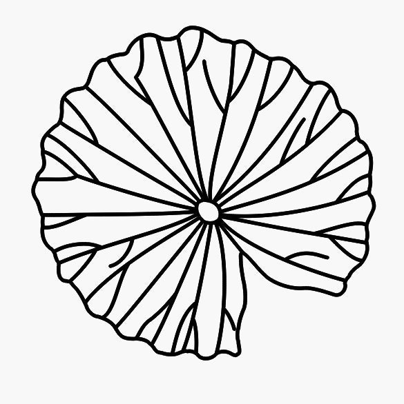 https://i.etsystatic.com/6787376/r/il/c72369/5311949713/il_fullxfull.5311949713_m1p1.jpg
