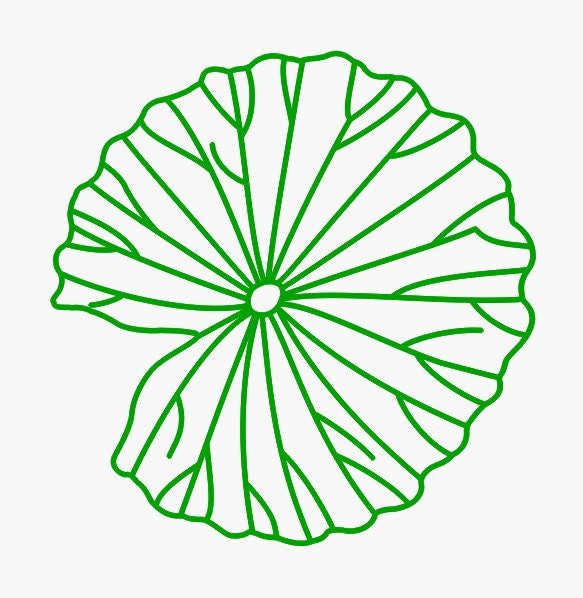https://i.etsystatic.com/6787376/r/il/47472f/5263766278/il_fullxfull.5263766278_3d4w.jpg