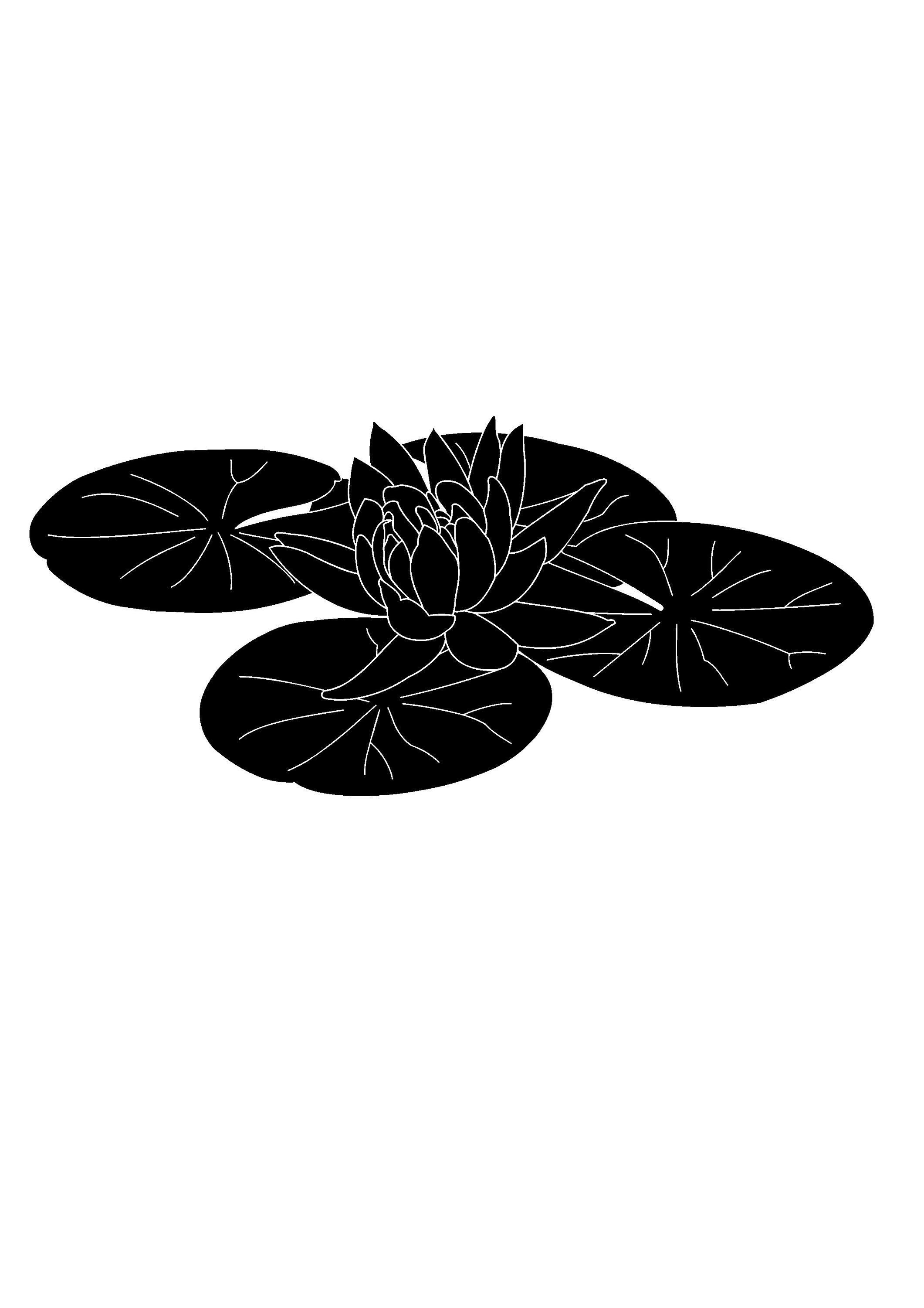 https://i.etsystatic.com/6787376/r/il/ec48ec/5270309835/il_fullxfull.5270309835_s2q7.jpg