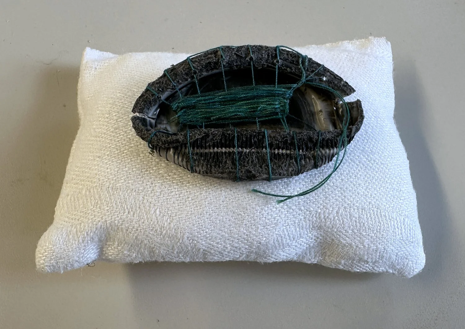 Gently Resting small 1