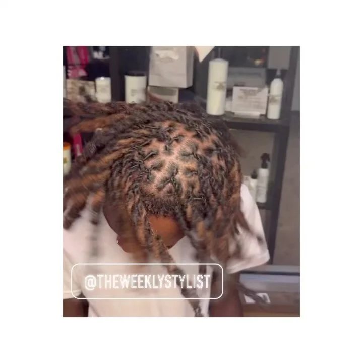 🖤Wash,Color,Retwist,and Two Strand Twist