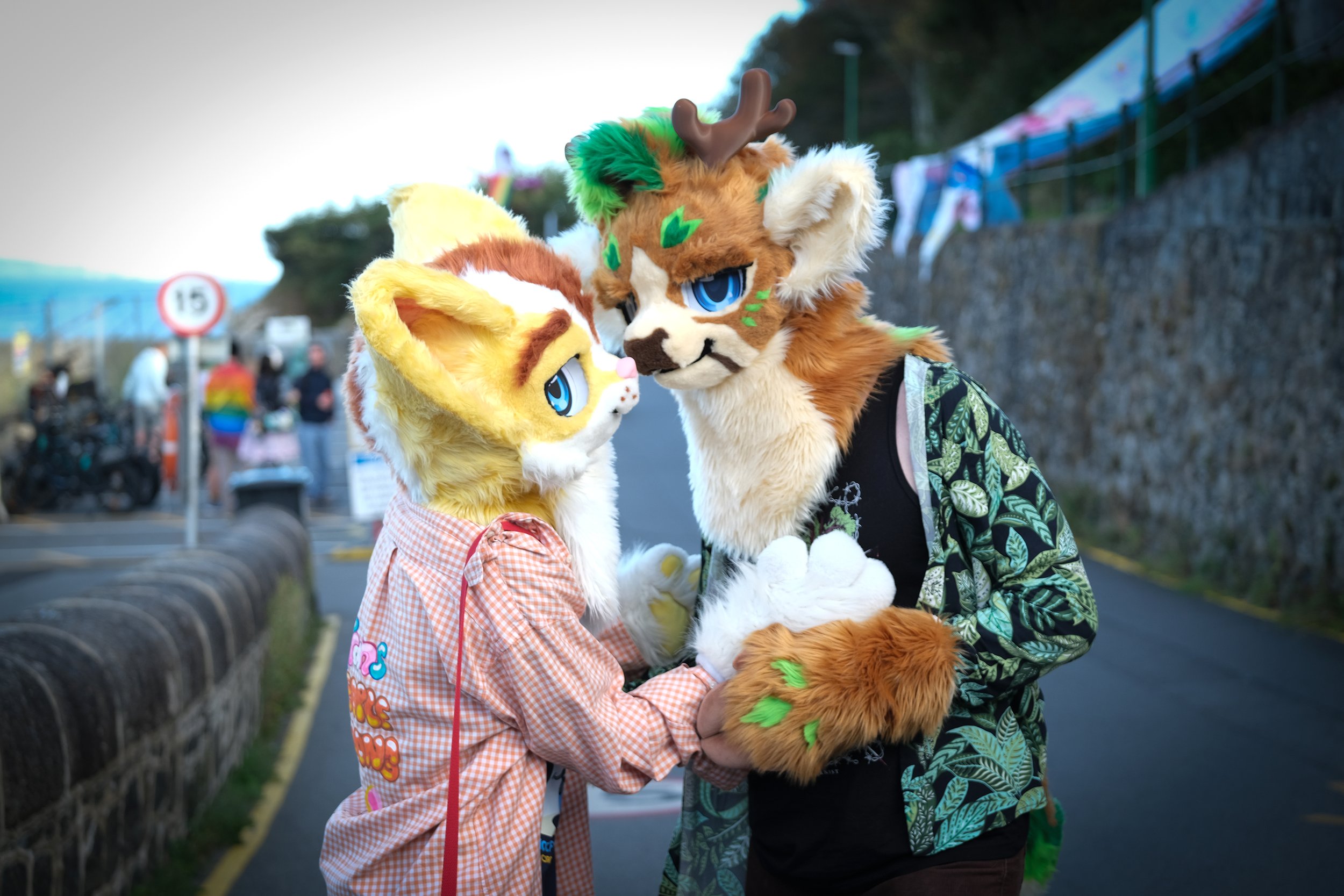DSCF6690.jpg