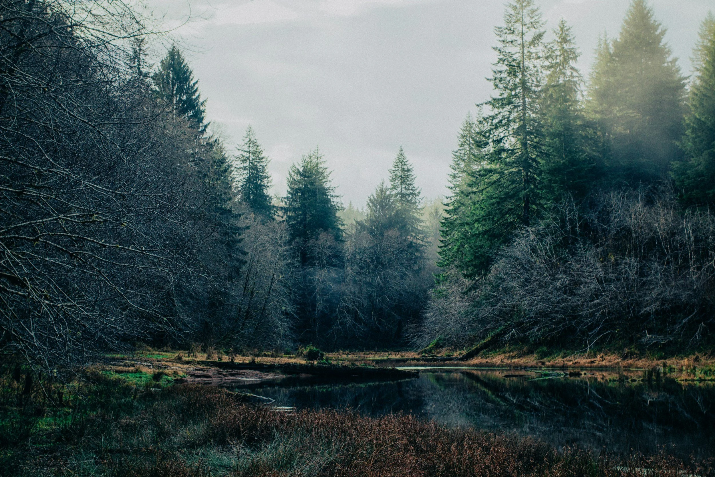 unsplash-image-oOv6EySqP_A.jpg